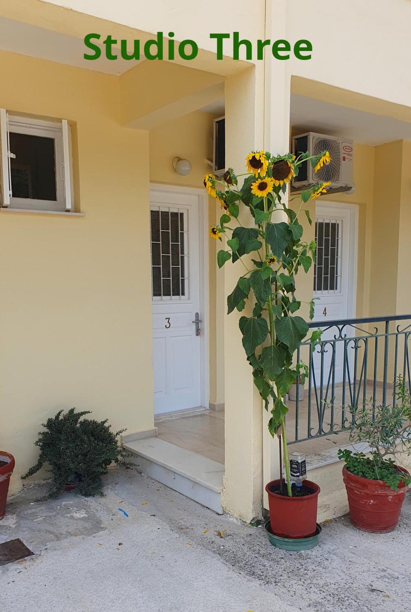 רודה Kivotos Villa Studios מראה חיצוני תמונה